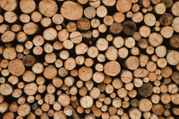 da_woodpile-6364896_1920 da_woodpile-6364896_1920